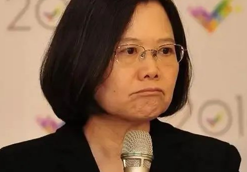 台湾：蔡英文辞去民进党主席职务