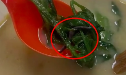 杨国福麻辣烫被传有食客吃出10厘米蚯蚓