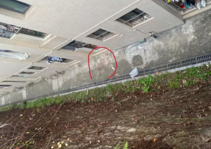 重庆一女大学生宿舍坠亡，警方：已确认死亡